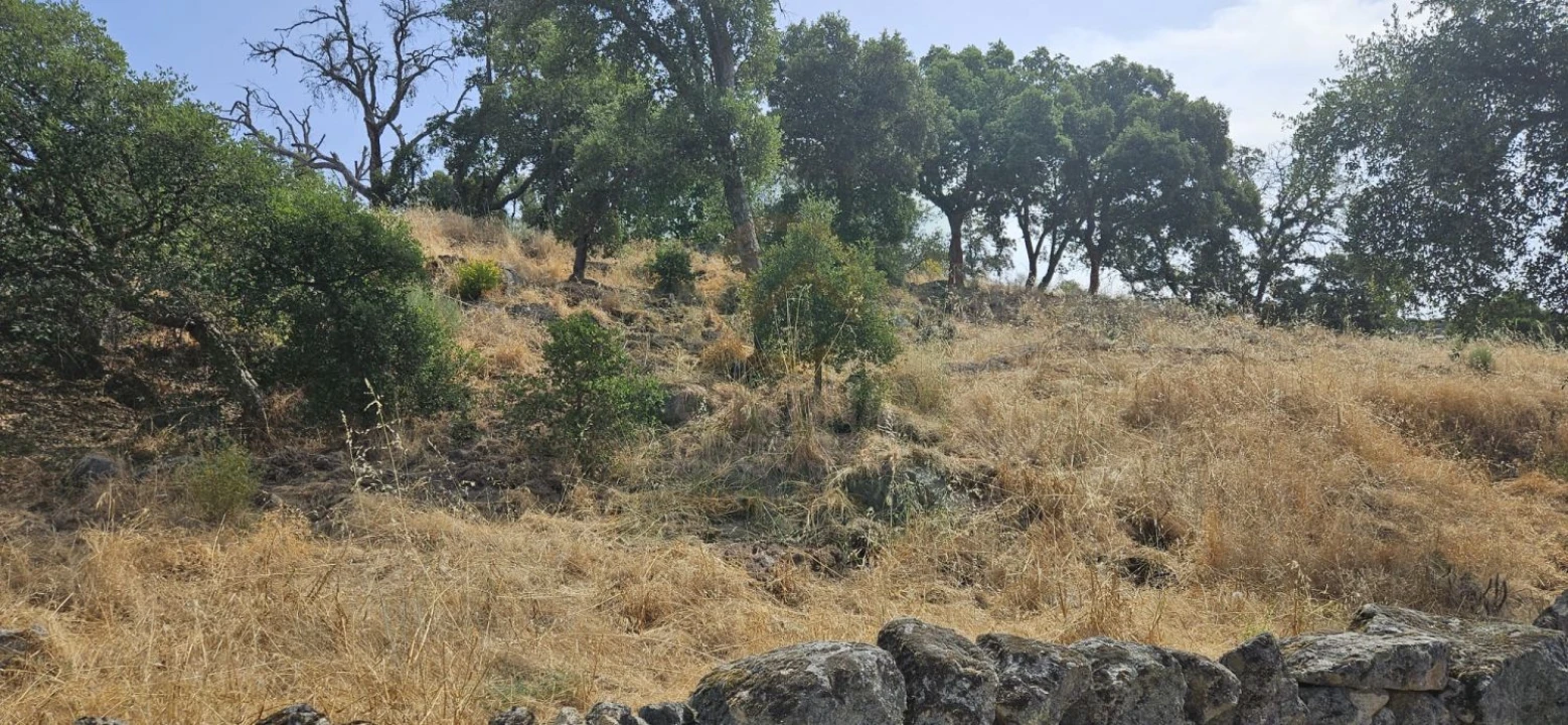 Terreno para Venda em Monfortinho e Salvaterra do Extremo Foto 4