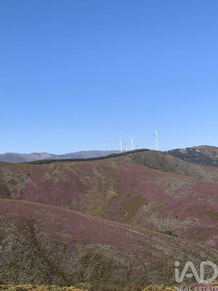 Moradia T2 para Venda em Carvalhais e Candal Foto 23