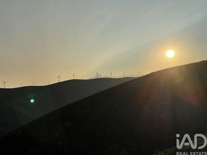 Moradia T2 para Venda em Carvalhais e Candal Foto 22