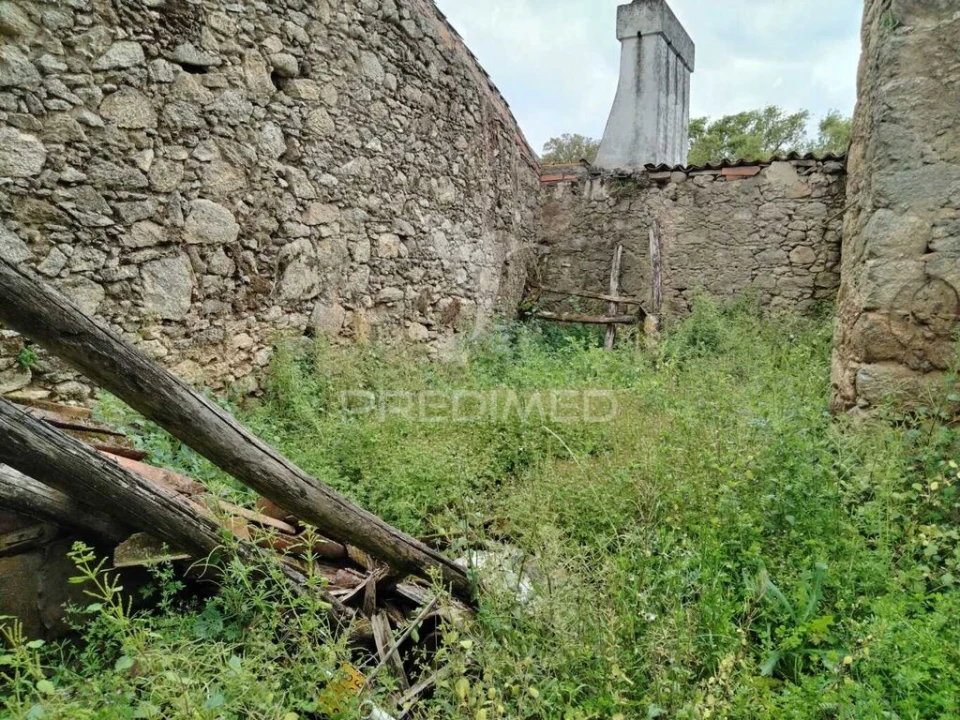 Quinta para Venda em Alagoa Foto 2