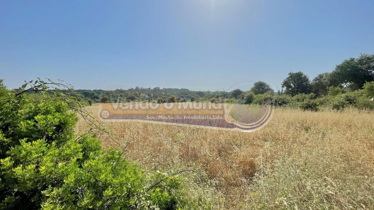 Terreno para Venda em Povoa da Isenta Foto 2