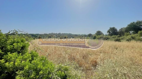 Terreno para Venda em Povoa da Isenta