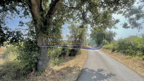 Terreno para Venda em Povoa da Isenta
