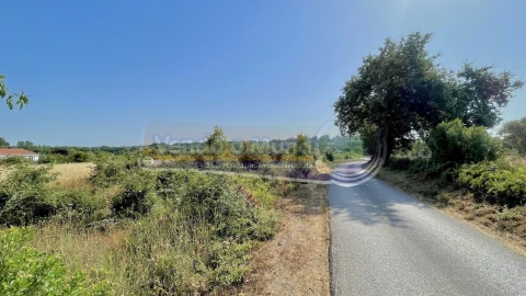 Terreno para Venda em Povoa da Isenta