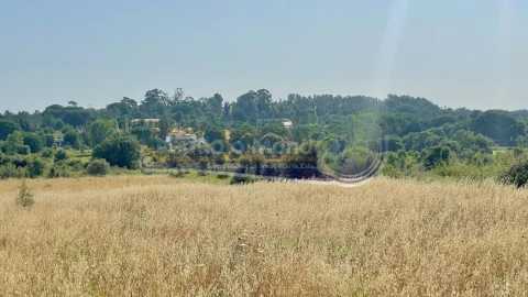 Terreno para Venda em Povoa da Isenta