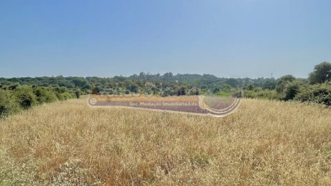 Terreno para Venda em Povoa da Isenta
