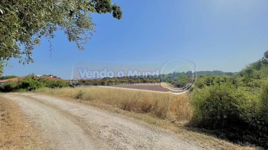 Terreno para Venda em Povoa da Isenta Foto 5