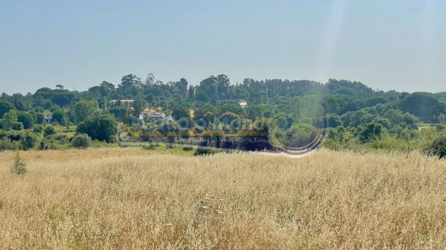 Terreno para Venda em Povoa da Isenta