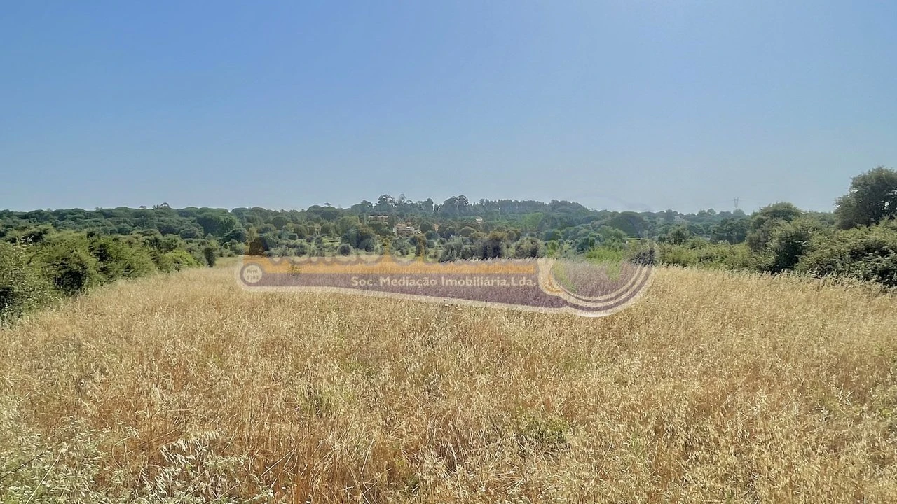 Terreno para Venda em Povoa da Isenta Foto 3