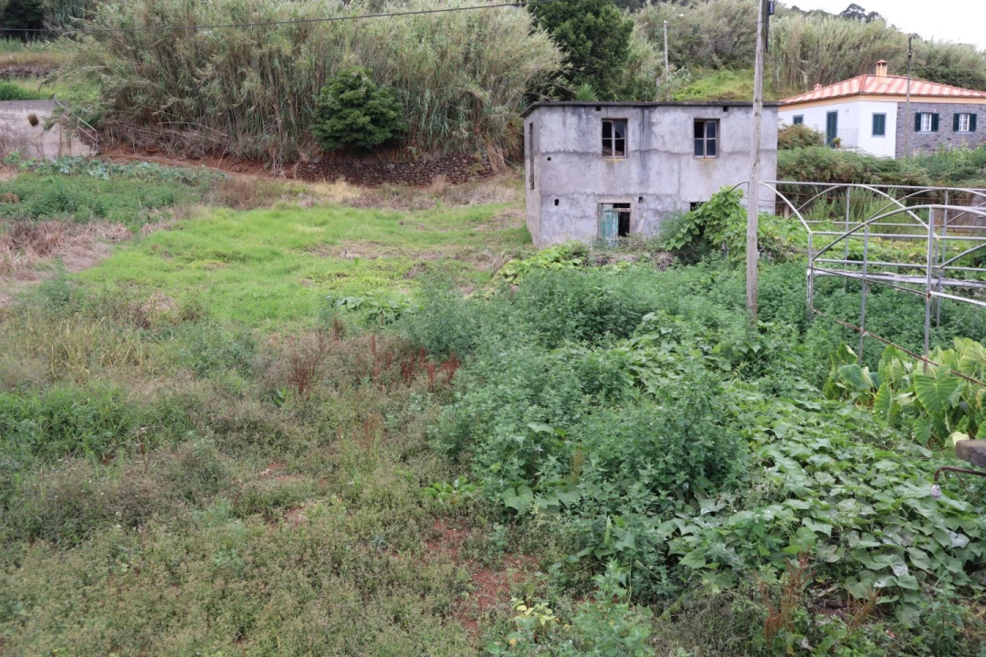 Terreno para Venda em Porto Moniz Foto 1