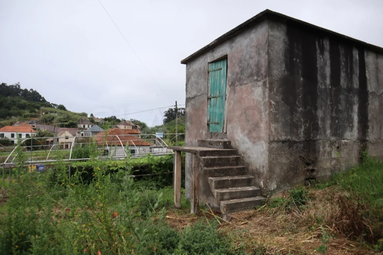 Terreno para Venda em Porto Moniz Foto 6