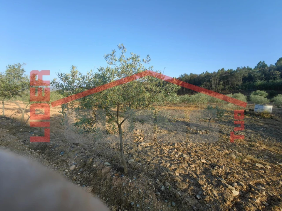 Terreno Agricola ou Rústico para Venda em Passos Foto 2