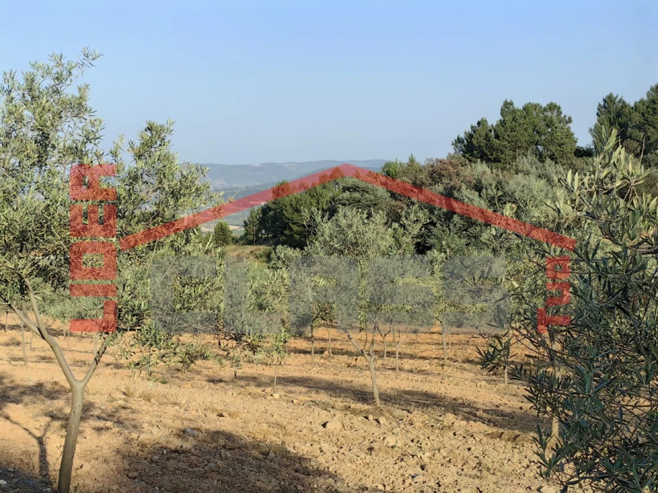 Terreno Agricola ou Rústico para Venda em Passos Foto 3