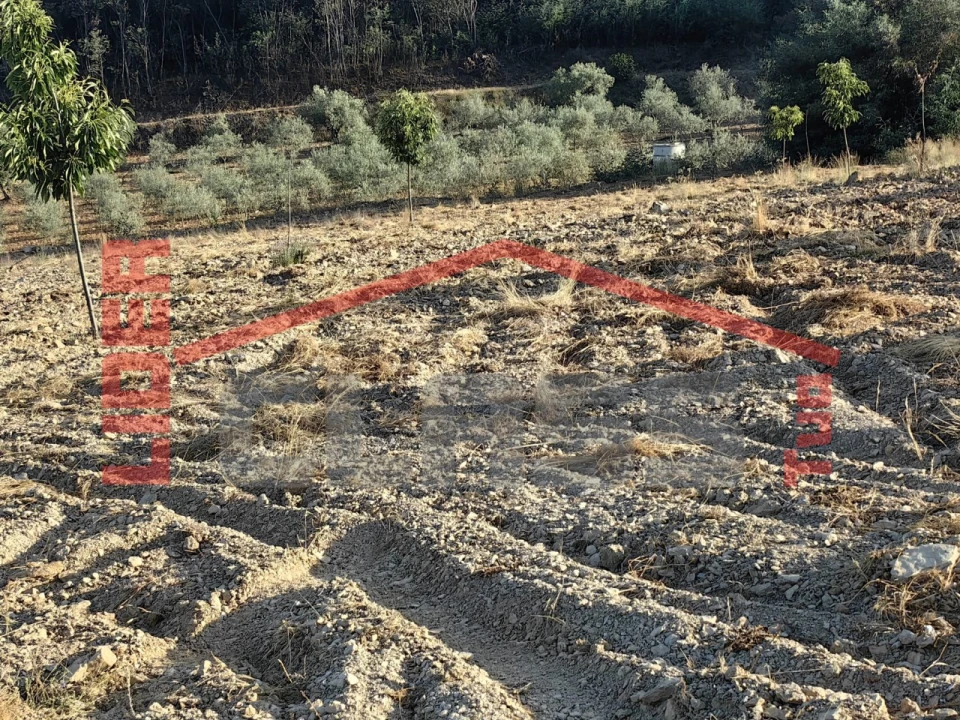 Terreno Agricola ou Rústico para Venda em Passos Foto 6