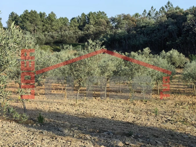 Terreno Agricola ou Rústico para Venda em Passos Foto 5