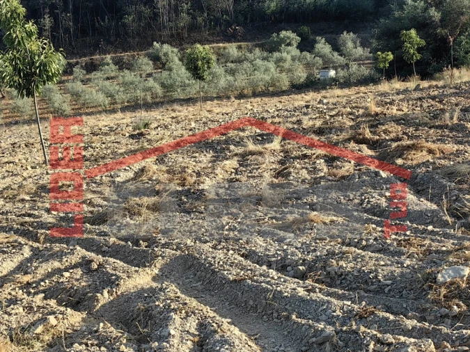 Terreno Agricola ou Rústico para Venda em Passos Foto 6