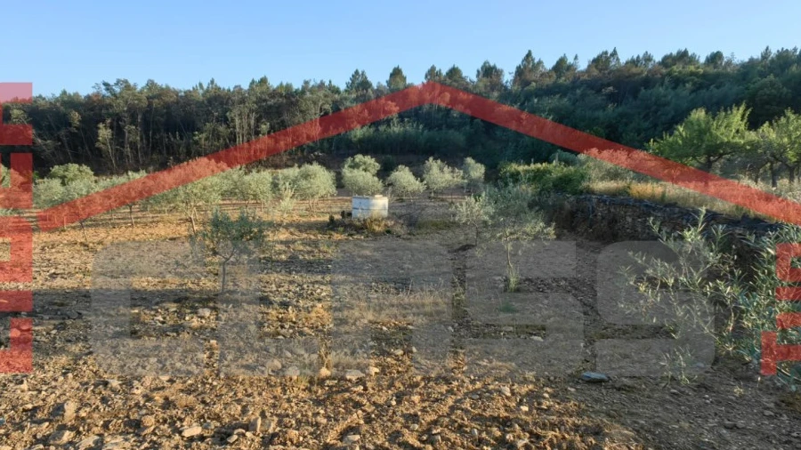 Terreno Agricola ou Rústico para Venda em Passos