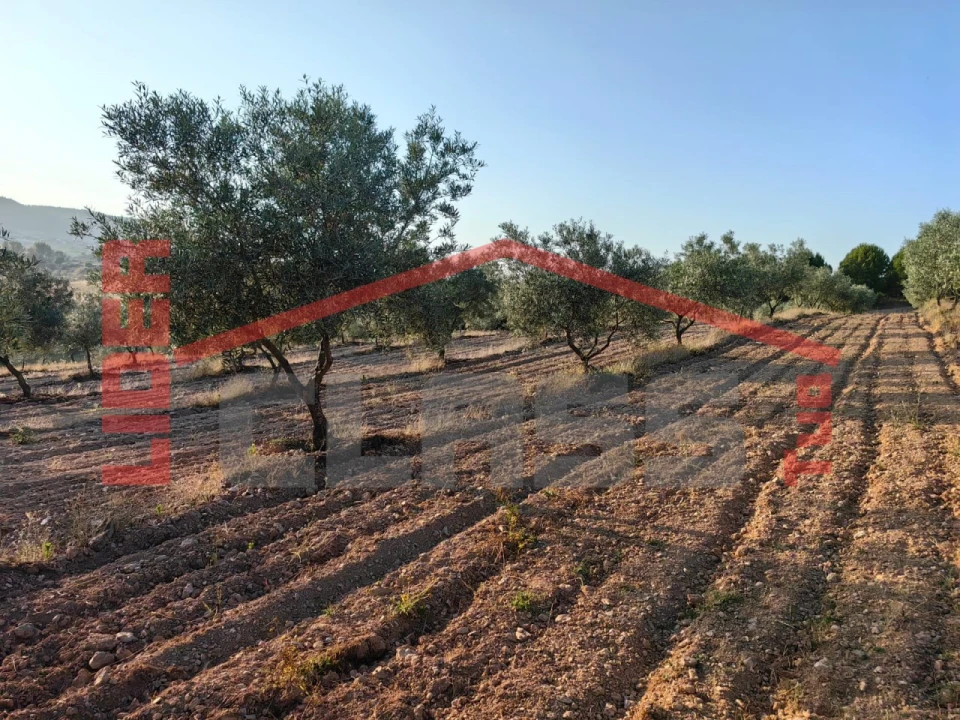 Terreno Agricola ou Rústico para Venda em Passos Foto 3
