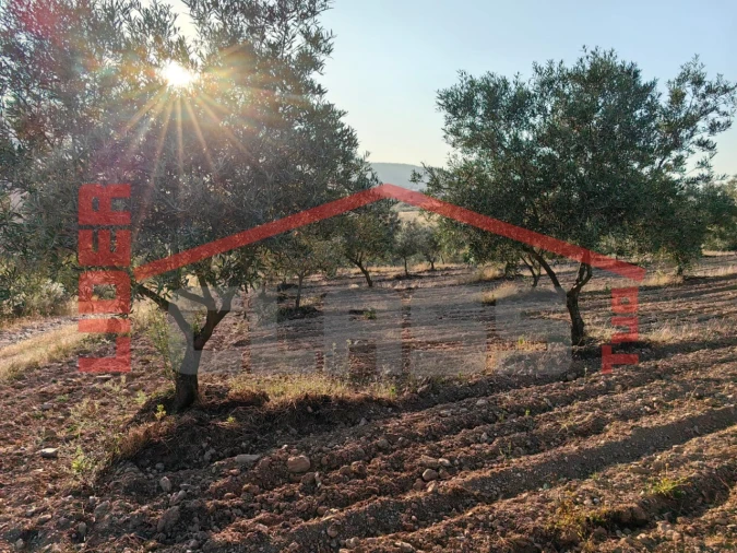 Terreno Agricola ou Rústico para Venda em Passos Foto 2