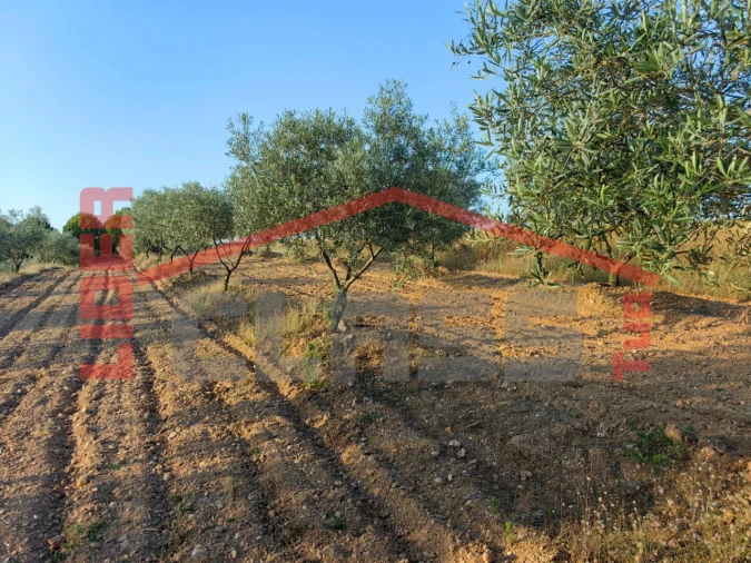 Terreno Agricola ou Rústico para Venda em Passos Foto 4