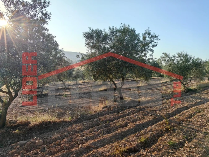 Terreno Agricola ou Rústico para Venda em Passos Foto 5