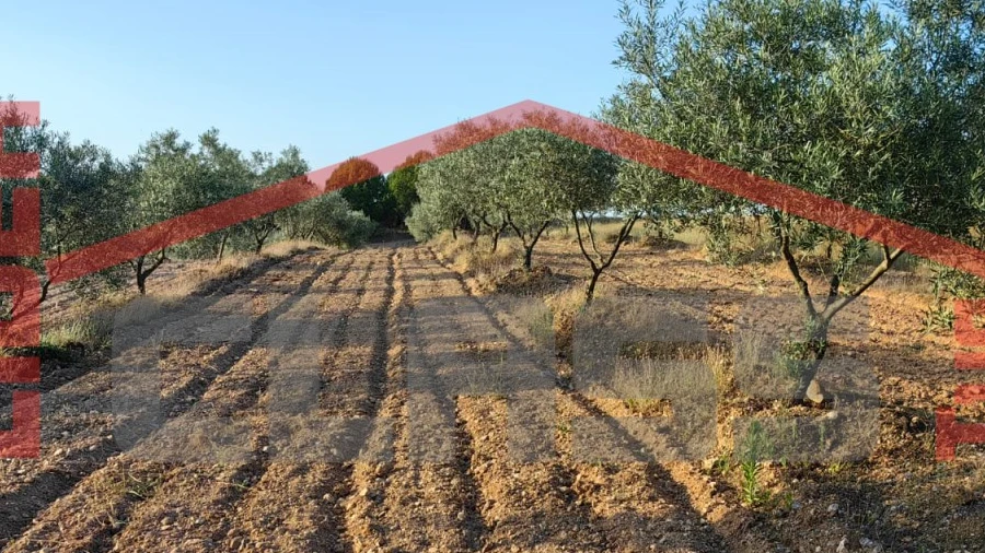 Terreno Agricola ou Rústico para Venda em Passos