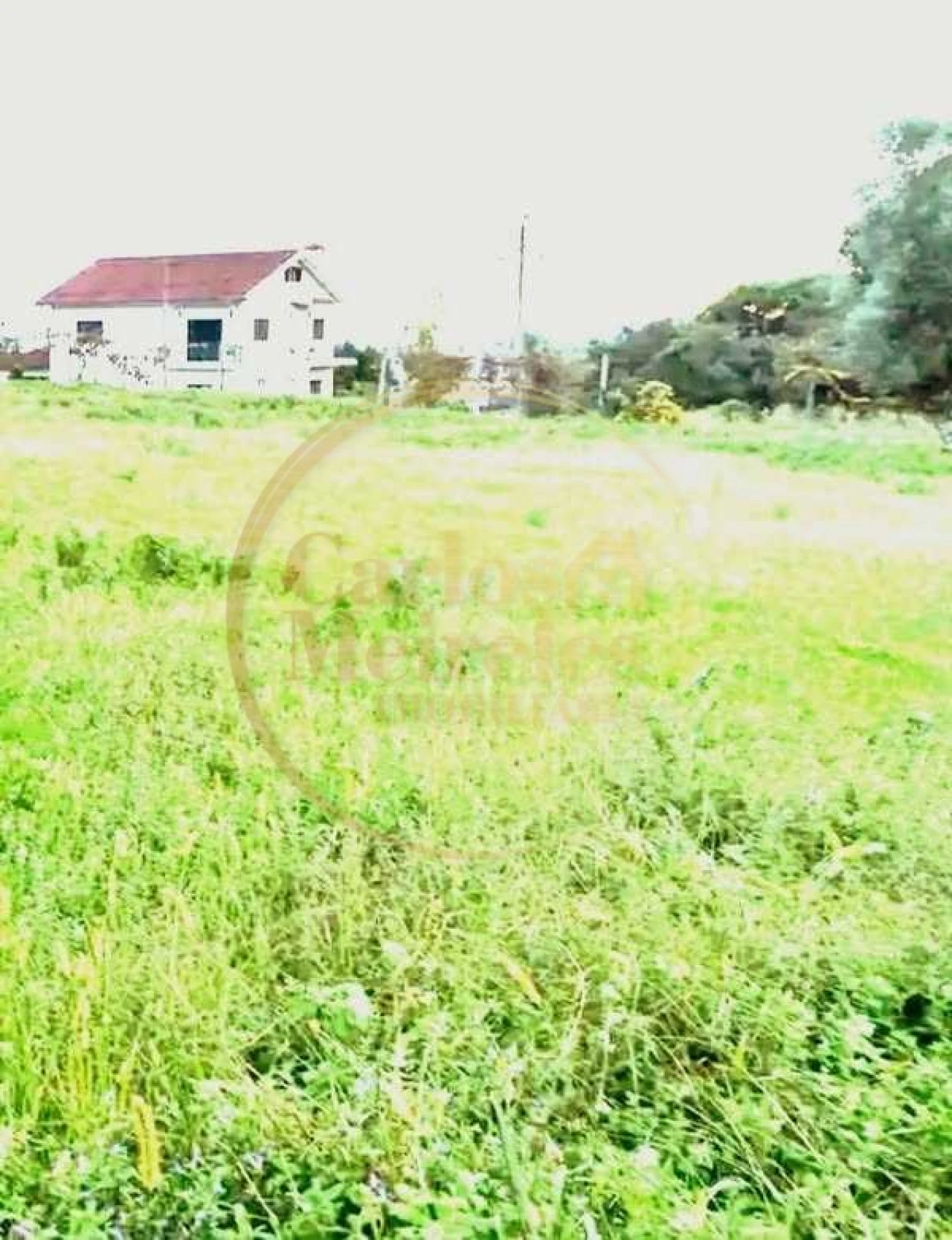 Terreno para Venda em Gême Foto 1