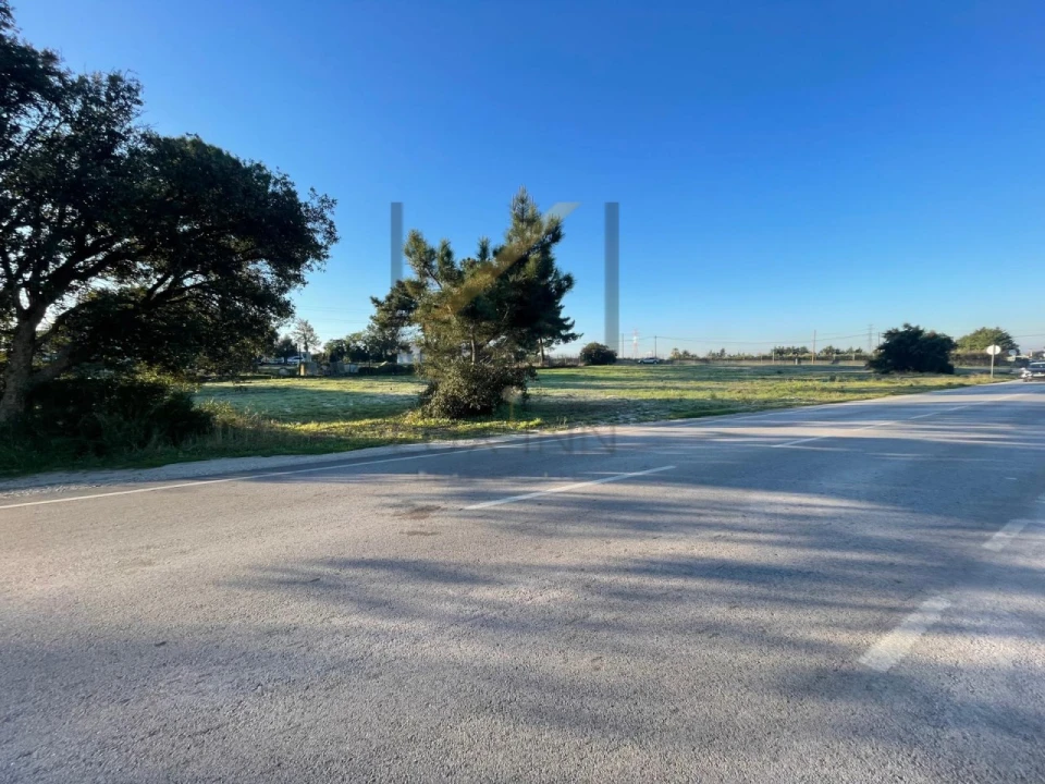 Terreno Agricola ou Rústico para Venda em Palmela Foto 5