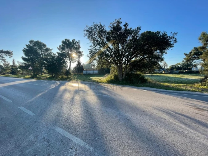 Terreno Agricola ou Rústico para Venda em Palmela Foto 3