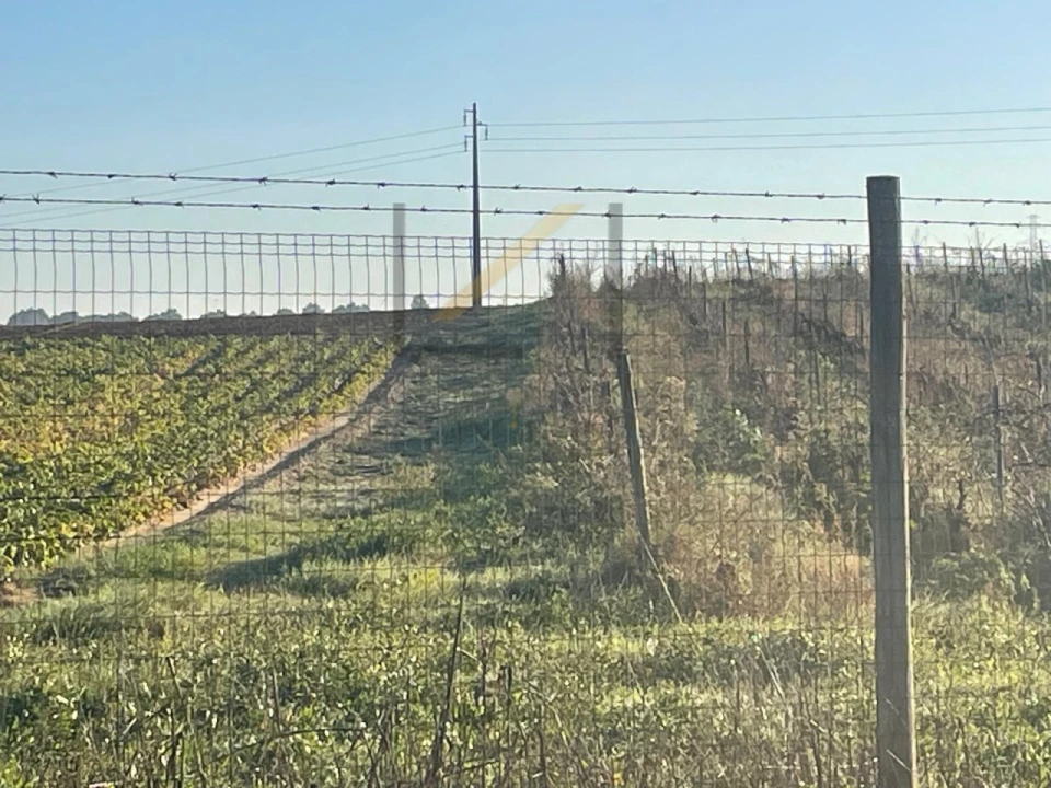 Terreno Agricola ou Rústico para Venda em Palmela Foto 2
