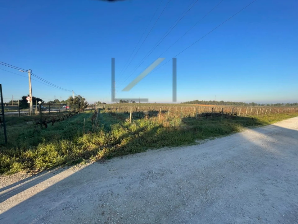 Terreno Agricola ou Rústico para Venda em Palmela Foto 4