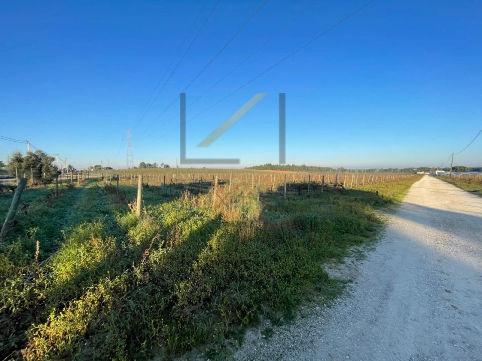 Terreno Agricola ou Rústico para Venda em Palmela Foto 5