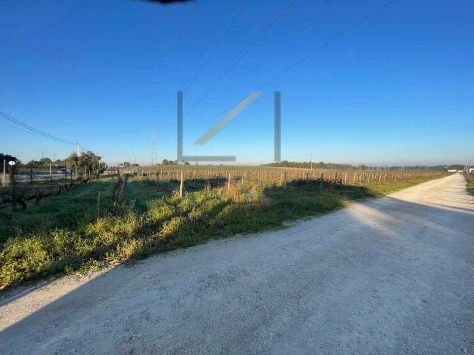 Terreno Agricola ou Rústico para Venda em Palmela Foto 7
