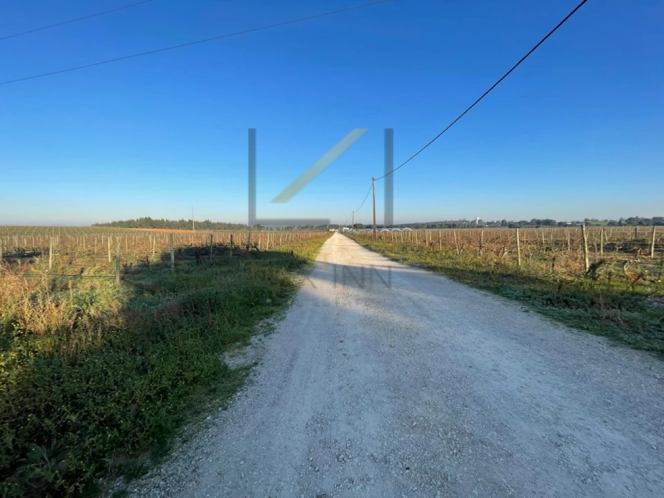 Terreno Agricola ou Rústico para Venda em Palmela Foto 8