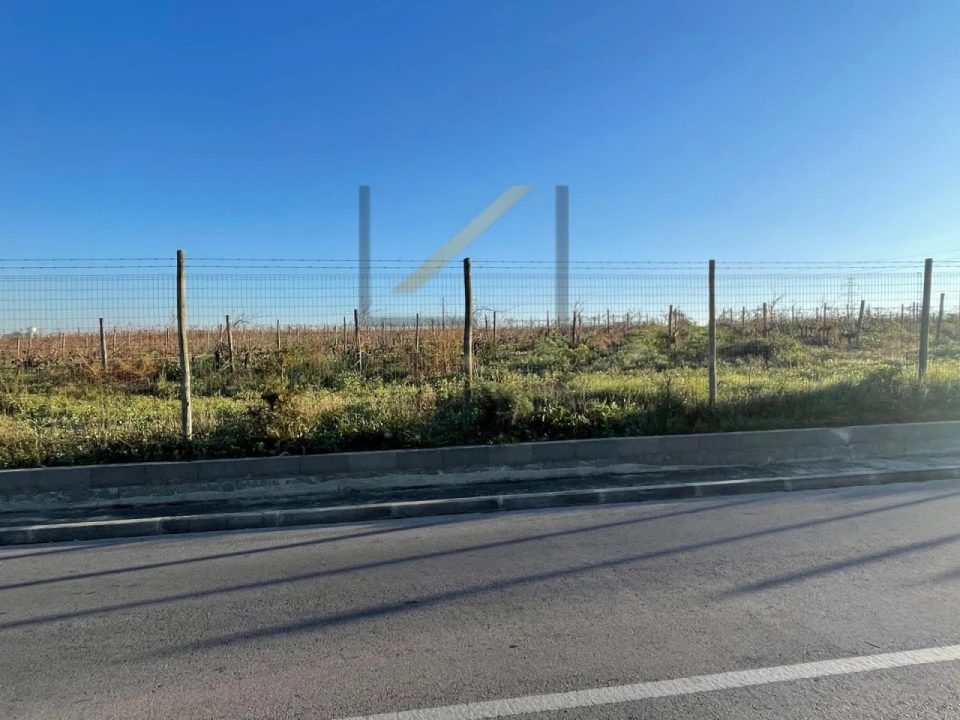 Terreno Agricola ou Rústico para Venda em Palmela Foto 10