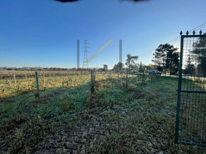 Terreno Agricola ou Rústico para Venda em Palmela Foto 3
