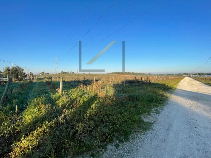 Terreno Agricola ou Rústico para Venda em Palmela Foto 5
