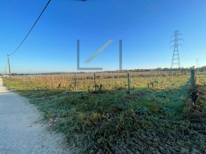 Terreno Agricola ou Rústico para Venda em Palmela Foto 6