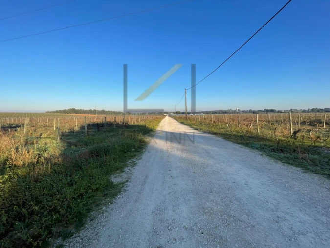 Terreno Agricola ou Rústico para Venda em Palmela Foto 8
