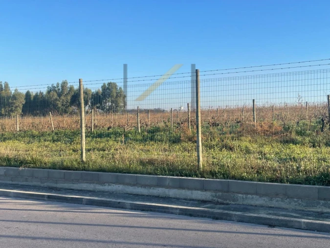 Terreno Agricola ou Rústico para Venda em Palmela Foto 12