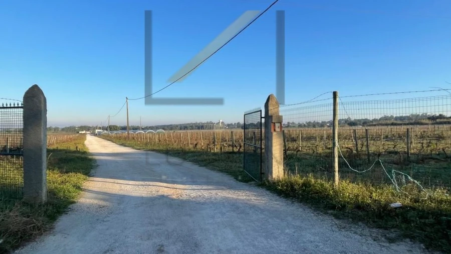 Terreno Agricola ou Rústico para Venda em Palmela