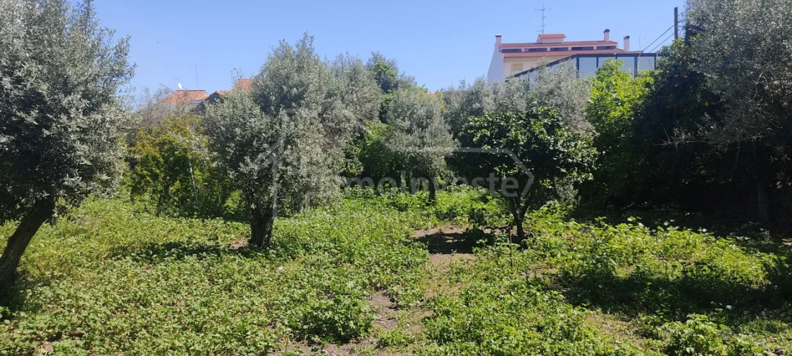 Moradia T10 para Venda em Alcains Foto 6