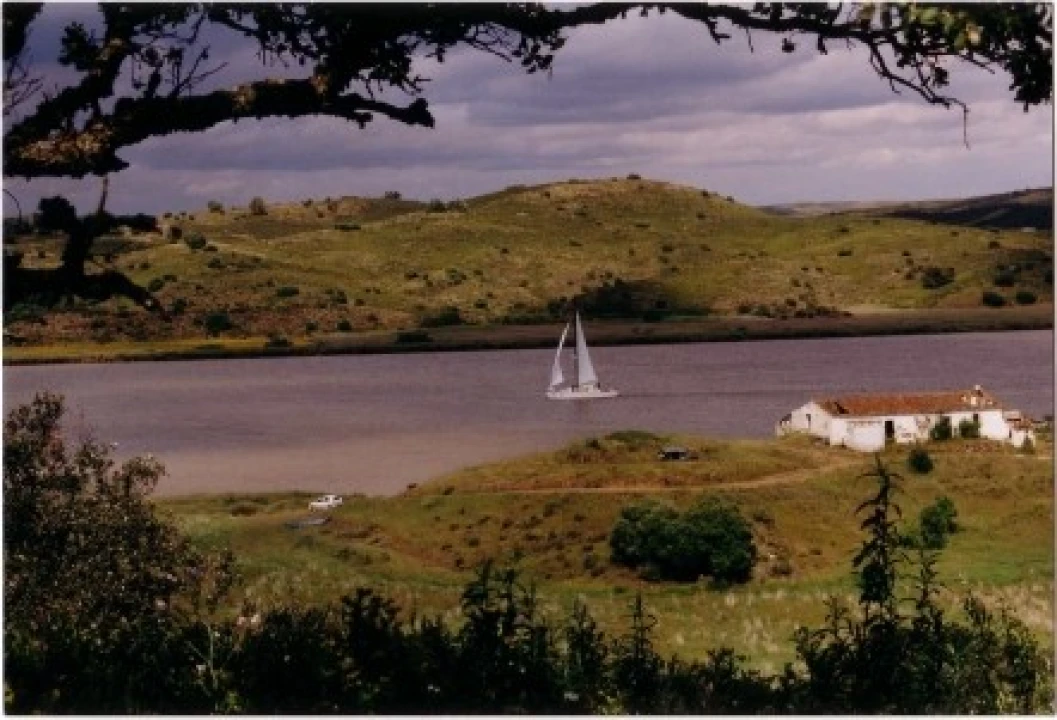 Terreno Misto para Venda em Azinhal Foto 7