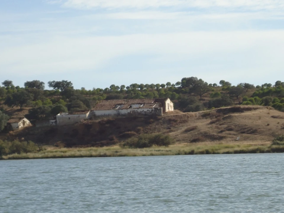 Terreno Misto para Venda em Azinhal Foto 2