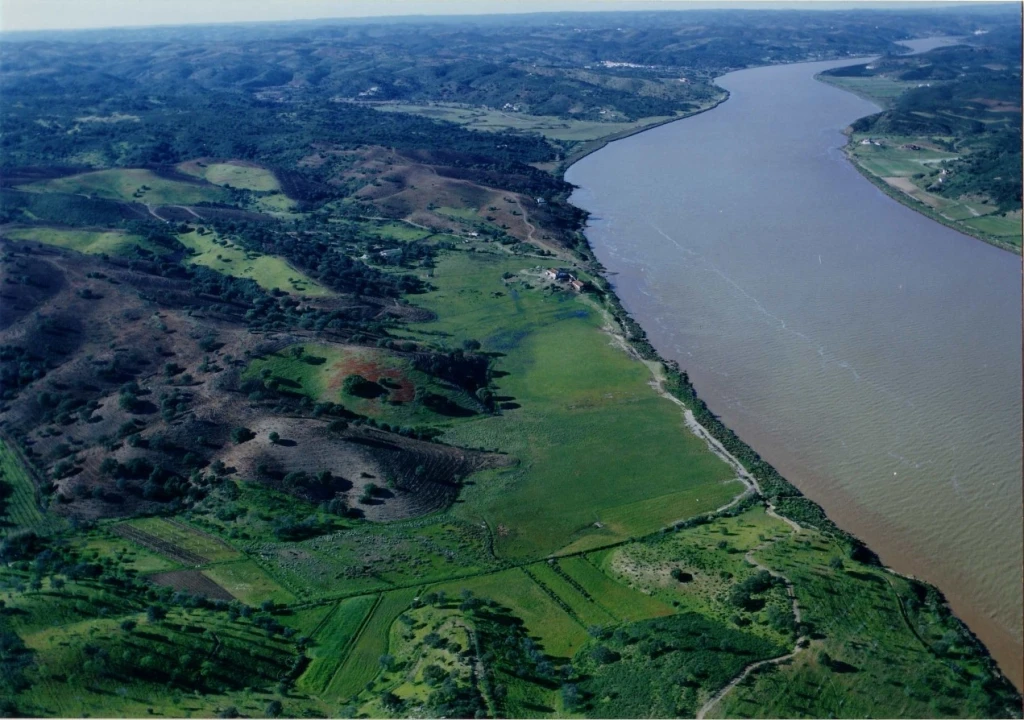 Terreno Misto para Venda em Azinhal Foto 5