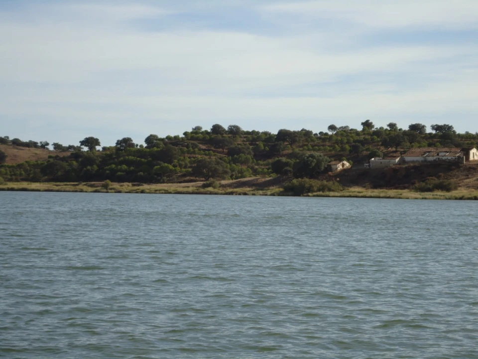 Terreno Misto para Venda em Azinhal Foto 10