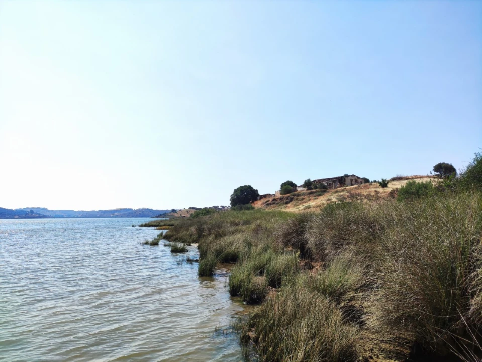 Terreno Misto para Venda em Azinhal Foto 6