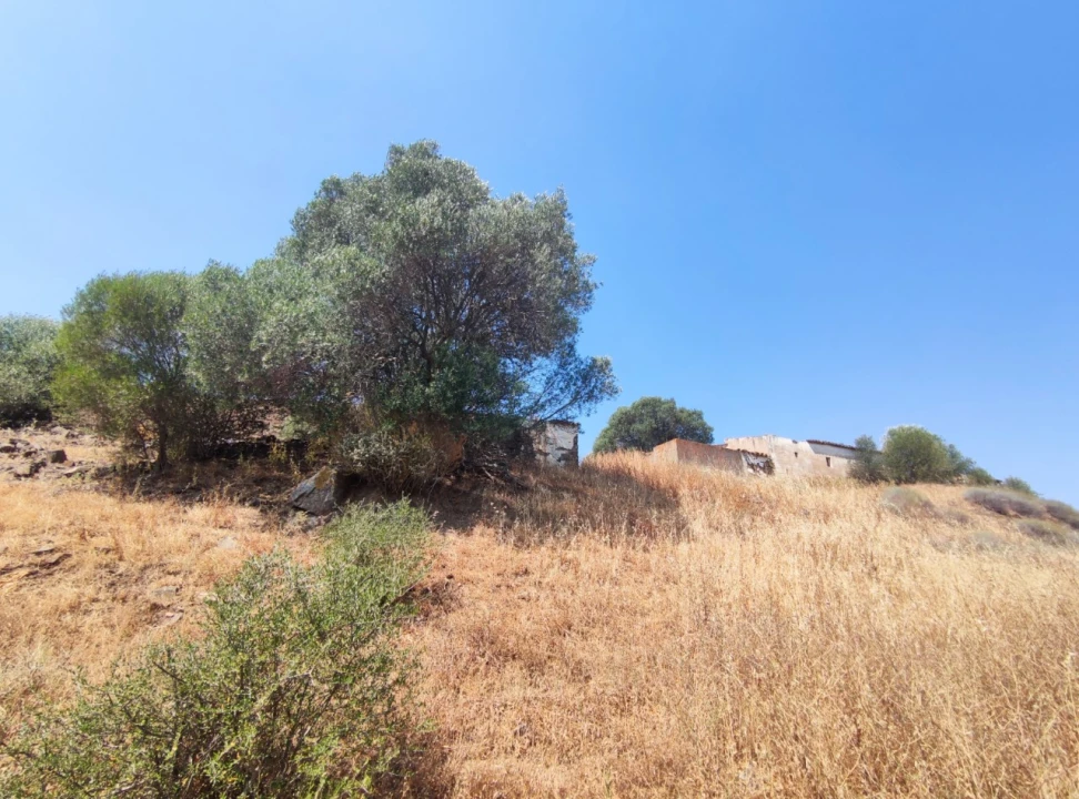 Terreno Misto para Venda em Azinhal Foto 18