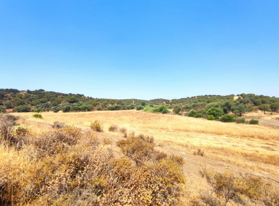 Terreno Misto para Venda em Azinhal Foto 22