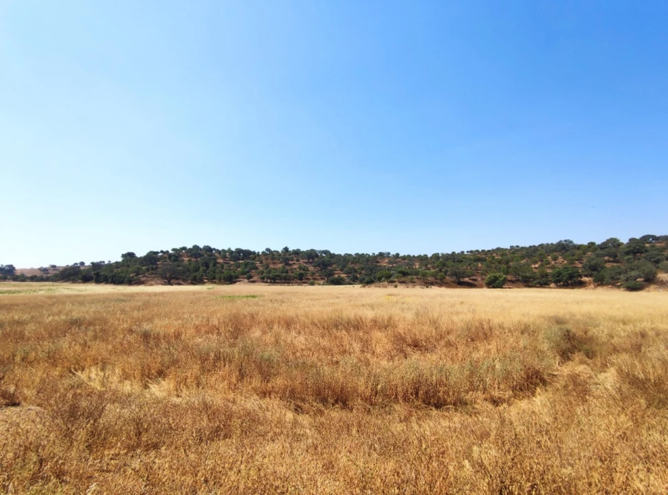 Terreno Misto para Venda em Azinhal Foto 28